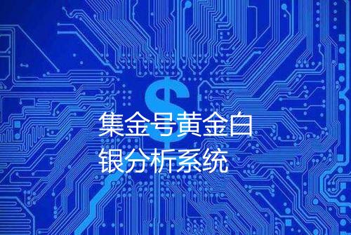 集金号黄金白银分析系统