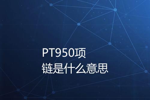 PT950项链是什么意思