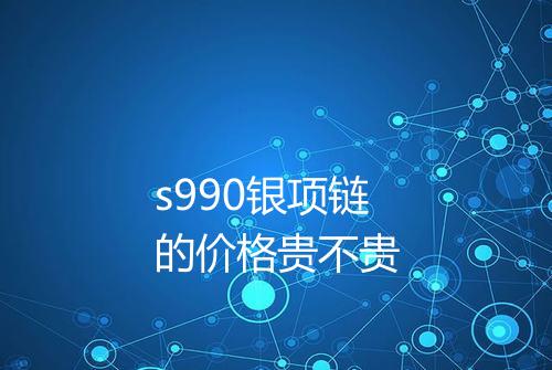 s990银项链的价格贵不贵