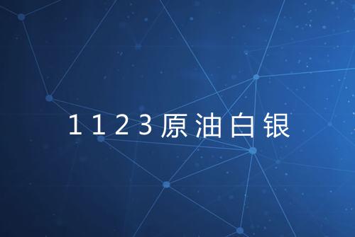 1123原油白银