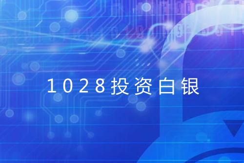 1028投资白银