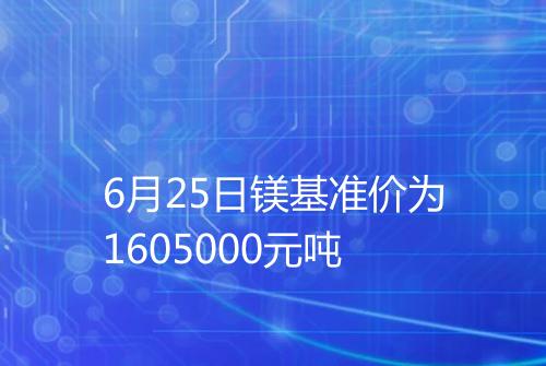 6月25日镁基准价为1605000元吨