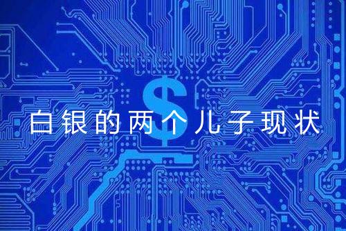 白银的两个儿子现状