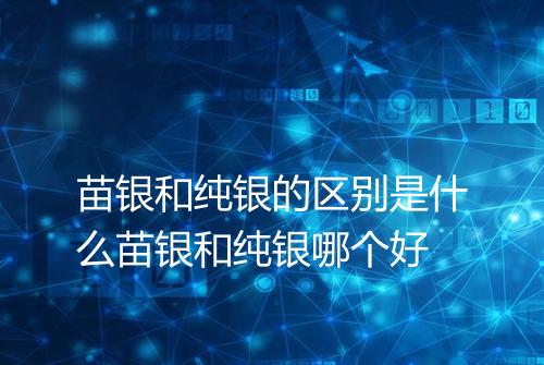 苗银和纯银的区别是什么苗银和纯银哪个好