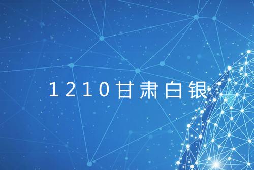 1210甘肃白银