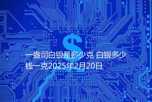 一盎司白银是多少克 白银多少钱一克2025年2月20日