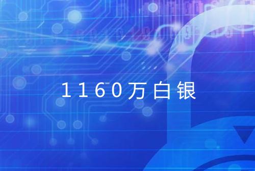 1160万白银