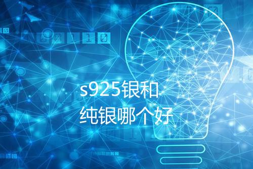 s925银和纯银哪个好
