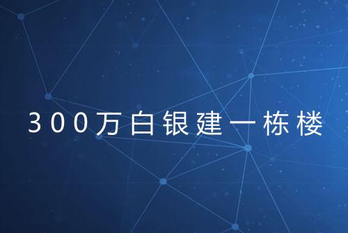 300万白银建一栋楼