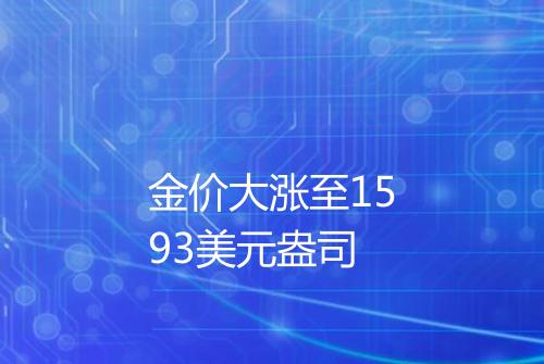 金价大涨至1593美元盎司
