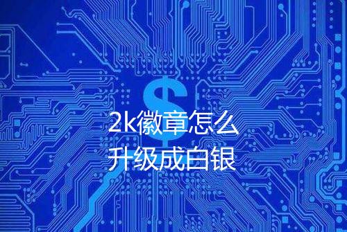 2k徽章怎么升级成白银