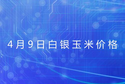 4月9日白银玉米价格