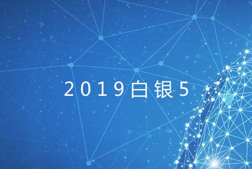 2019白银5