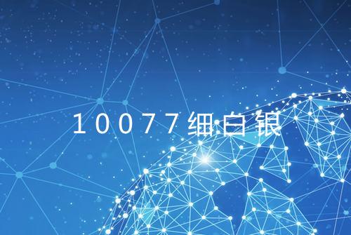 10077细白银