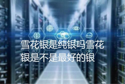 雪花银是纯银吗雪花银是不是最好的银
