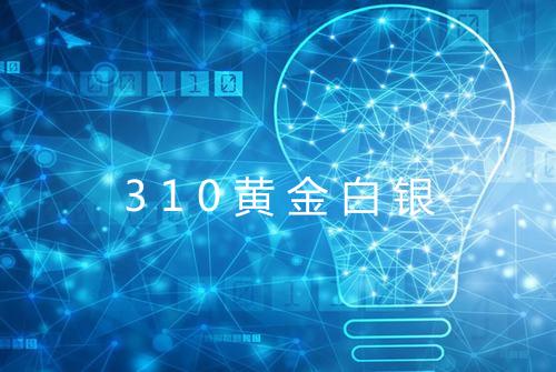 310黄金白银