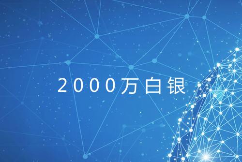 2000万白银