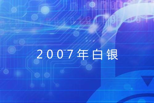 2007年白银