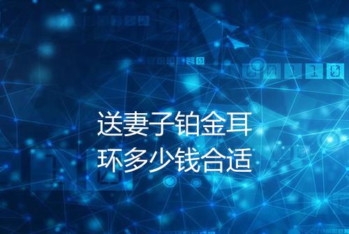 送妻子铂金耳环多少钱合适