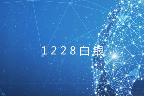 1228白银