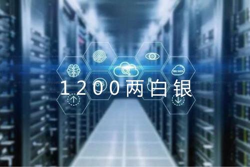1200两白银