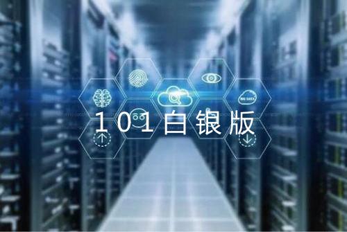 101白银版