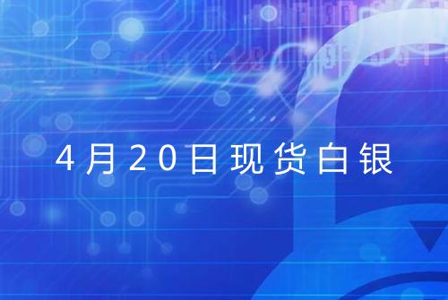 4月20日现货白银