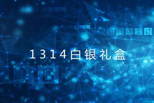 1314白银礼盒