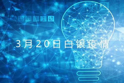 3月20日白银疫情