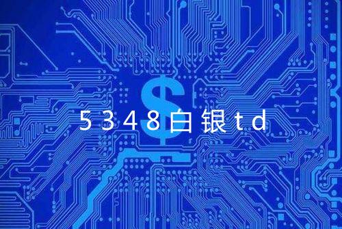 5348白银td