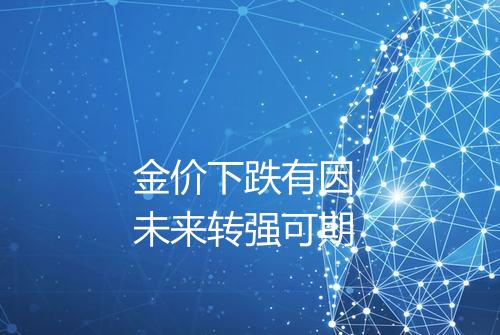 金价下跌有因 未来转强可期