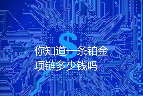 你知道一条铂金项链多少钱吗