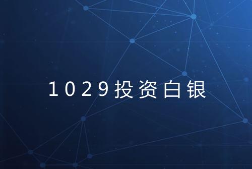 1029投资白银