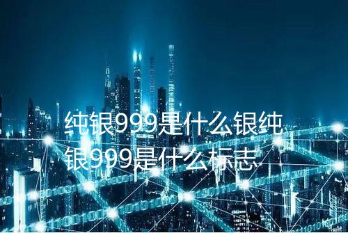 纯银999是什么银纯银999是什么标志