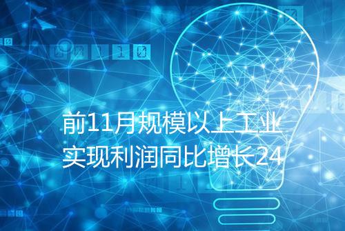 前11月规模以上工业实现利润同比增长24