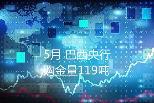 5月 巴西央行购金量119吨