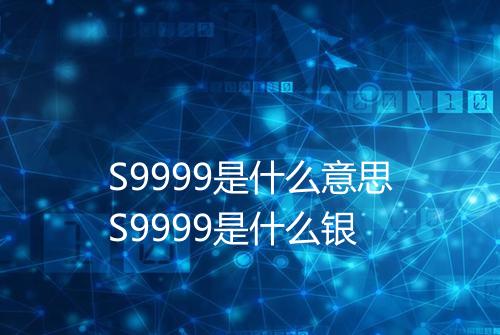 S9999是什么意思S9999是什么银