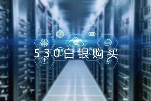 530白银购买