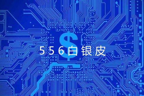 556白银皮