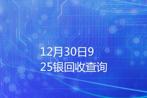 12月30日925银回收查询