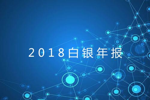 2018白银年报