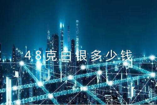 48克白银多少钱