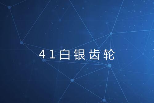 41白银齿轮