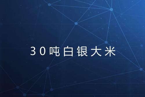 30吨白银大米