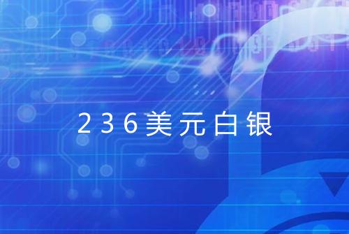236美元白银