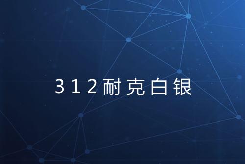 312耐克白银