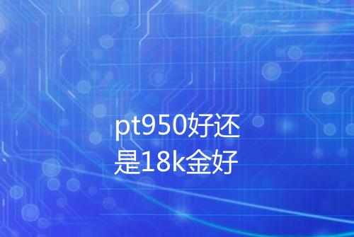 pt950好还是18k金好