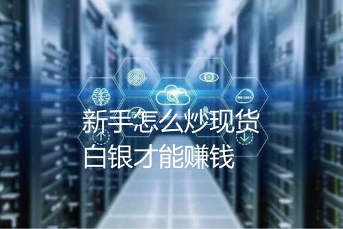 新手怎么炒现货白银才能赚钱