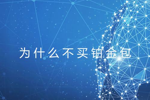为什么不买铂金包