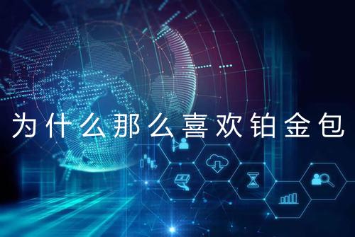 为什么那么喜欢铂金包